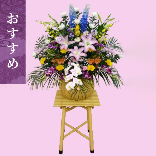 特上　だるまかご（胡蝶蘭入り）