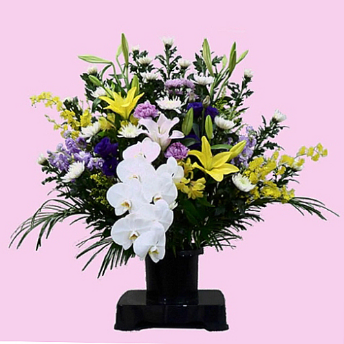 生花枕花（胡蝶蘭入り）